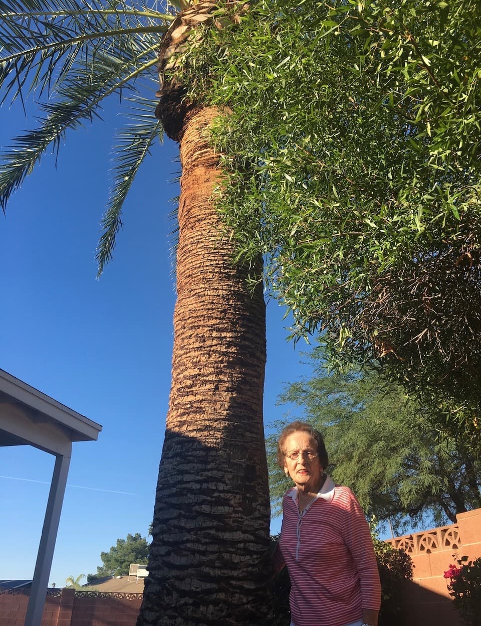Baba standing beside her beloved palm tree